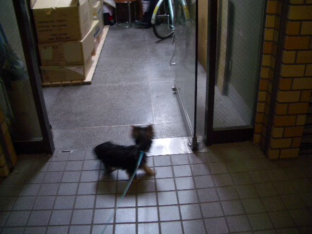 c0031582_2082938.jpg