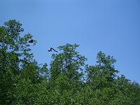 f0069890_3254332.jpg