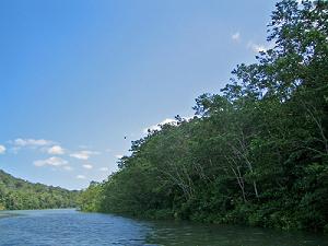 f0069890_3304481.jpg