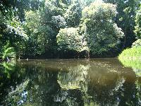 f0069890_34237100.jpg