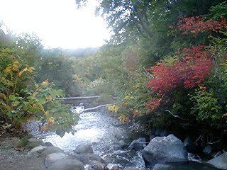 f0079191_21352154.jpg