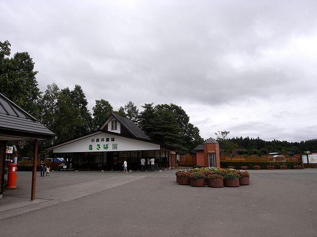 a0093592_0112162.jpg