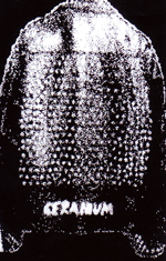 c0049495_16251329.jpg
