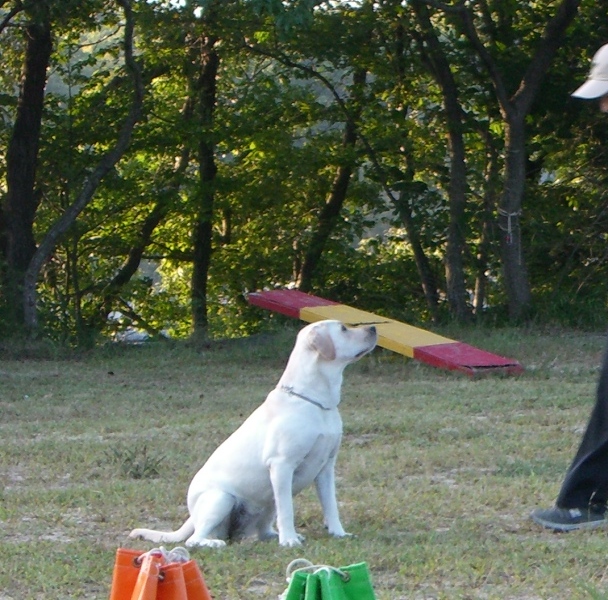 d0091700_20535879.jpg