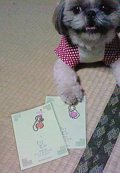 e0040602_1354345.jpg