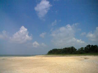 c0032006_2158489.jpg