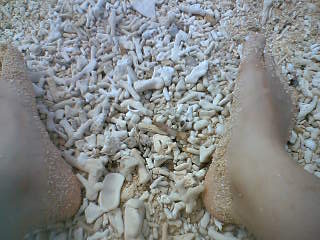 c0032006_2245661.jpg