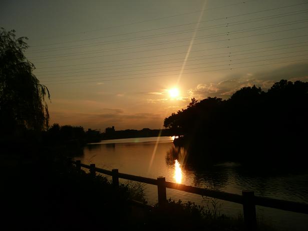 c0097309_17322718.jpg