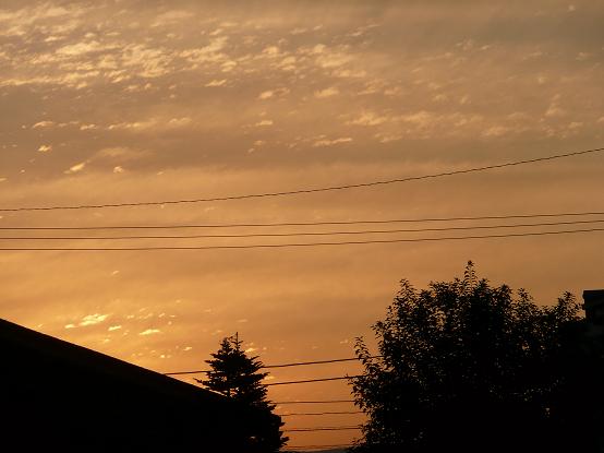 c0097309_7193027.jpg