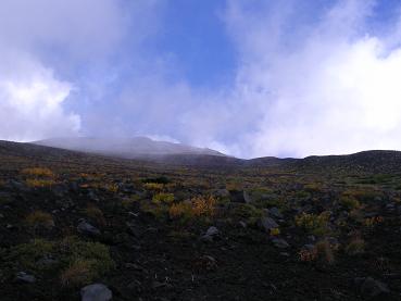f0057509_19542298.jpg