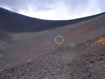 f0057509_2122597.jpg