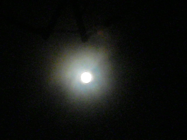 e0027813_1013055.jpg