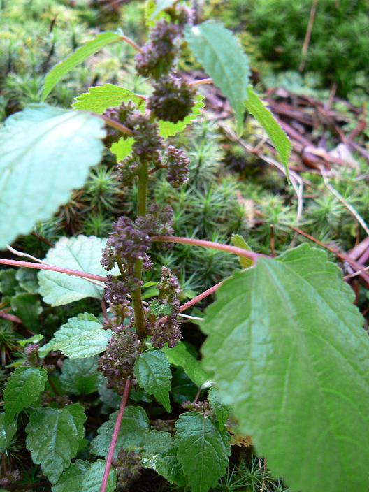 c0086014_22363942.jpg