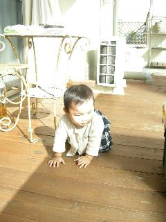 c0126614_16361062.jpg