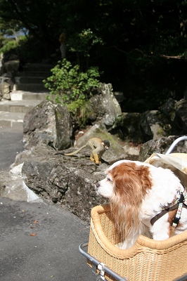 b0072515_1173689.jpg