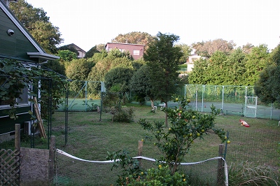 b0072515_1272014.jpg