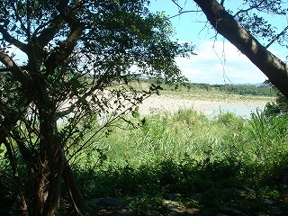 f0011322_1644250.jpg