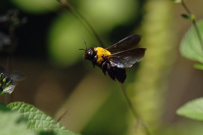 d0089024_1425584.jpg