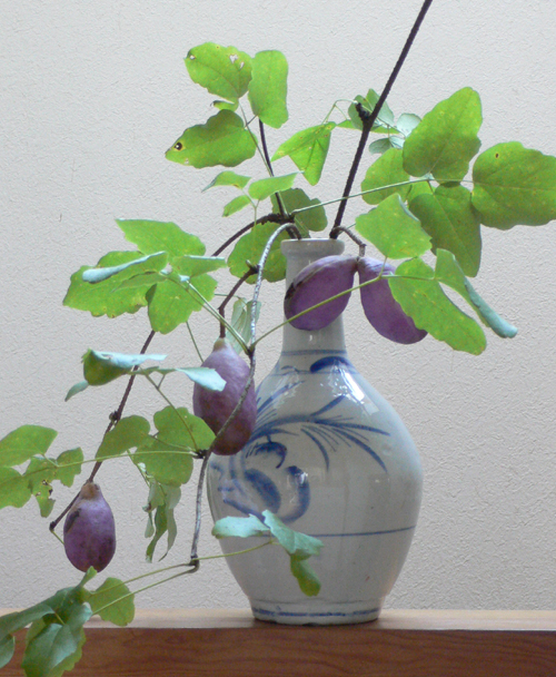 f0060424_2127231.jpg