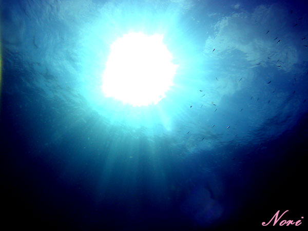 b0044726_7385110.jpg