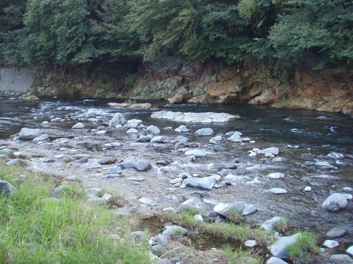 f0103126_21254595.jpg
