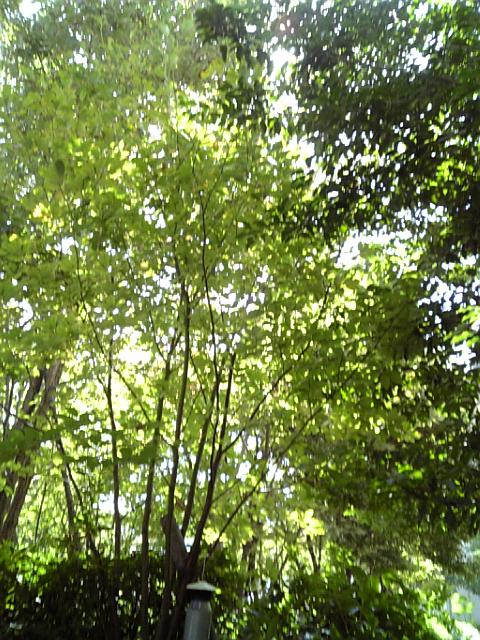 b0116327_18355941.jpg