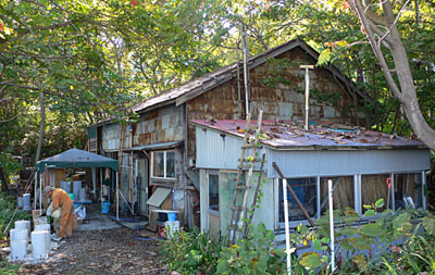 a0046429_056158.jpg