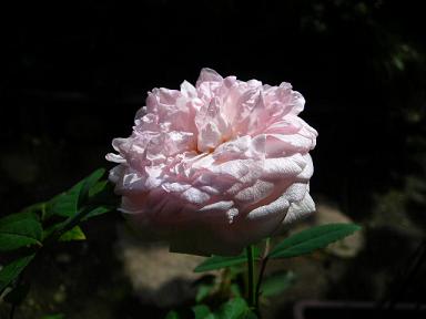 f0063931_11353846.jpg