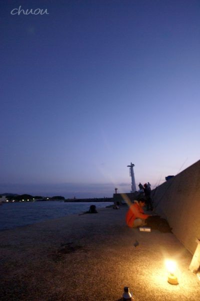 f0146531_22385973.jpg