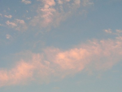 f0002833_7133152.jpg
