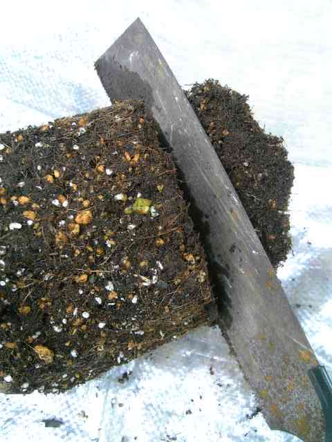 d0022845_14485077.jpg