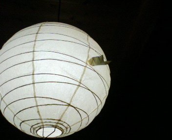 f0088647_8104836.jpg