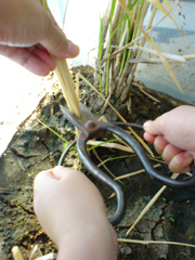 e0005548_22213155.jpg