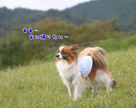 d0013149_0501187.jpg
