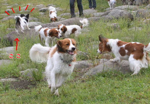 d0013149_0574135.jpg