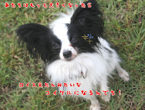 d0013149_115293.jpg