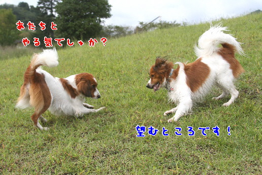 d0013149_1525123.jpg