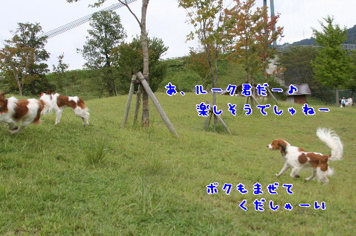 d0013149_1541689.jpg
