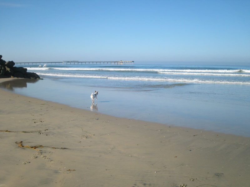 f0013255_12374625.jpg