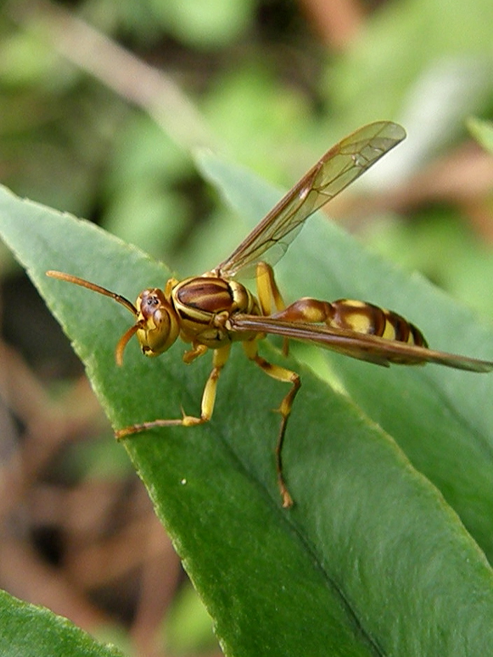 e0064158_23433489.jpg