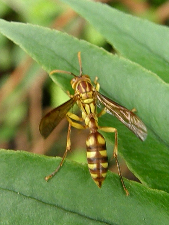 e0064158_2348555.jpg