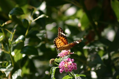 b0120159_17173345.jpg