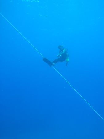 b0062363_19464631.jpg
