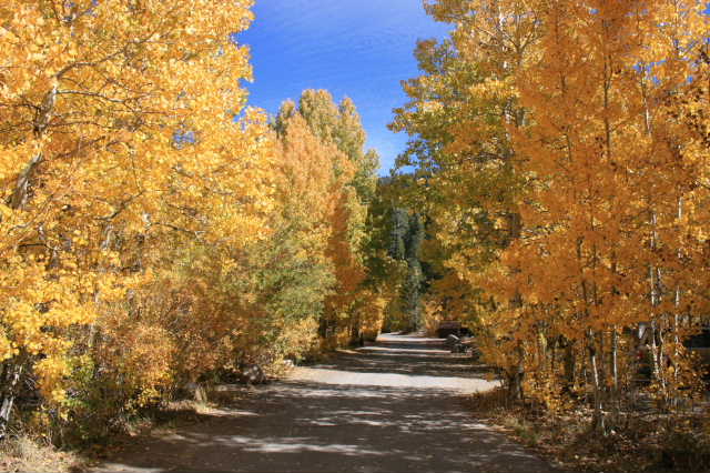 c0115366_10493359.jpg