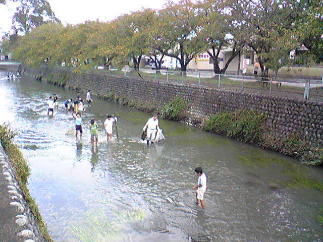 c0138868_12581080.jpg