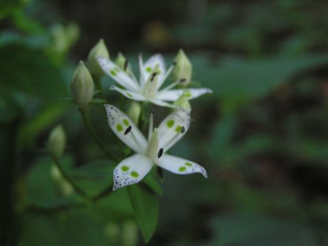 c0042869_19213810.jpg
