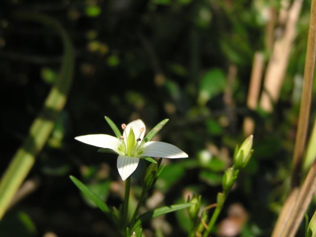 c0042869_19215630.jpg