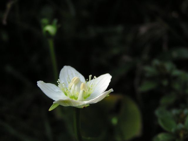 c0042869_19231860.jpg