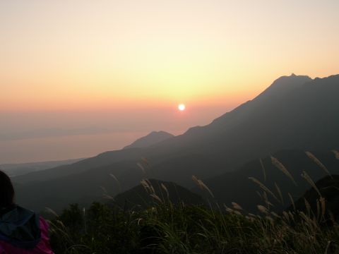 c0042869_1992716.jpg