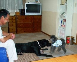 b0003270_117035.jpg